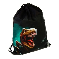 Рюкзак каркасный школьный, 39 х 28 х 18 см, + мешок для обуви, Calligrata П "Крутой дино", зелёный