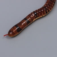 Деревянная игрушка &laquo;Змея&raquo;, 100 &times; 2 &times; 2 см