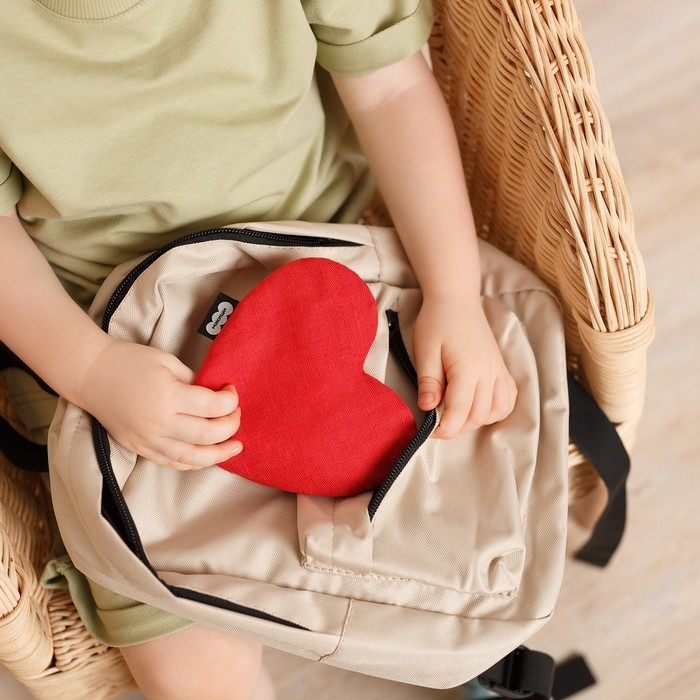 Развивающая игрушка — грелка «Сердце», с вишнёвыми косточками, 26 см Развивающая игрушка — грелка «Сердце», с вишнёвыми косточками, 26 см