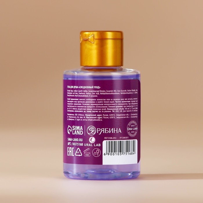 Гель для душа, 100 мл, аромат черничного пирога, Новый Год