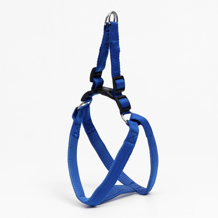 Шлейка Шлейка "Комфорт" комбинированная, 2,5 см, ОШ 45-65 см, ОГ 50-70 см, синяя