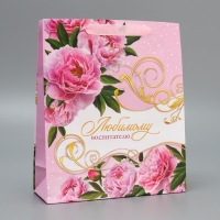 Пакет подарочный ламинированный, упаковка, &laquo;Воспитателю&raquo;, ML 21 х 25 х 8 см