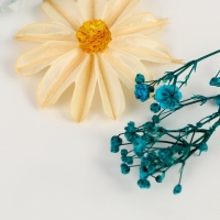 Набор сухоцветов &laquo;Лето на побережье&raquo;