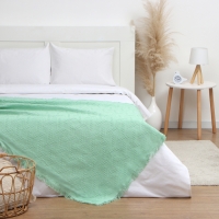 Плед Этель Home 130*180см , цв.зеленый,80%хлопок, 20% п/э Плед Этель Home 130*180см , цв.зеленый,80%хлопок, 20% п/э