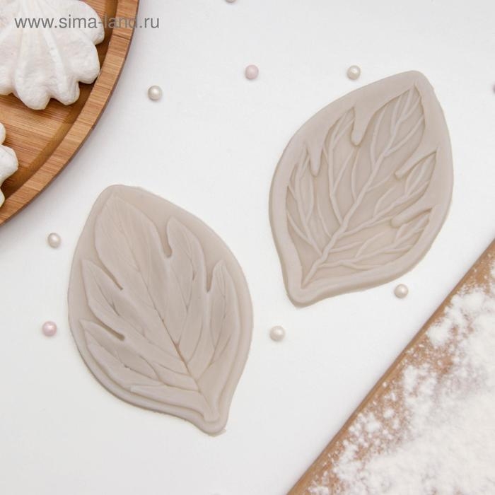 Молд «Листва», силикон, 2 части, 7×4,5 см, цвет МИКС Молд «Листва», силикон, 2 части, 7×4,5 см, цвет МИКС