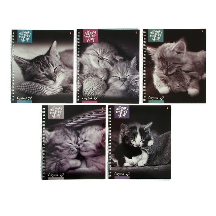 Тетрадь А5+, 48 листов в клетку, на гребне Тетрадь А5+, 48 листов в клетку, на гребне "Котята мур-мур", обложка мелованный картон, глянцевая ламинация, МИКС