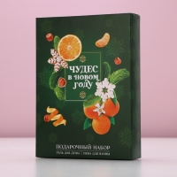 Подарочный набор косметики &laquo;Сказочного Нового Года&raquo;, гель для душа и пена для ванны, 2 х 250 мл, ЧИСТОЕ СЧАСТЬЕ