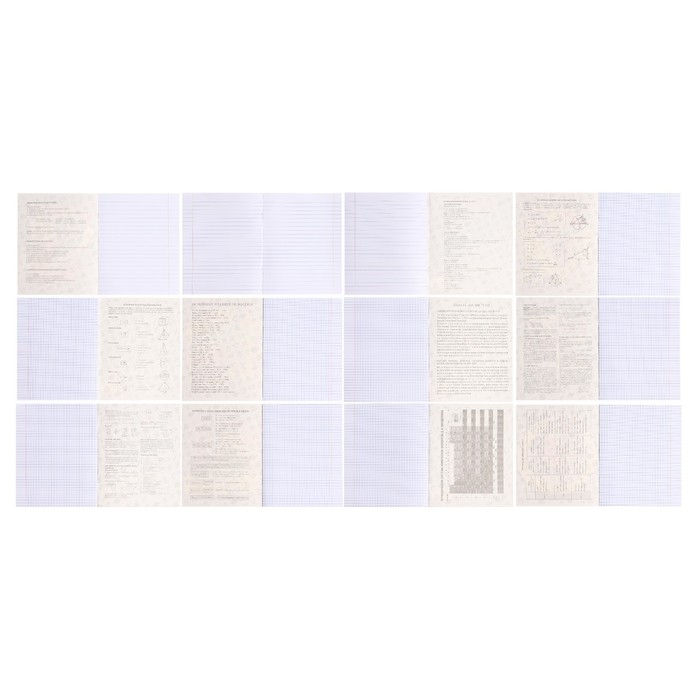 Комплект предметных тетрадей Calligrata TOP "Кеды", 48 листов, 12 предметов, со справочным материалом, обложка мелованный картон, глянцевая ламинация, блок офсет