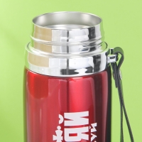 Термос "Покоряй", 600 мл, сохраняет тепло 8-12 ч Термос "Покоряй", 600 мл, сохраняет тепло 8-12 ч