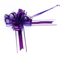 Бант-шар №6.5