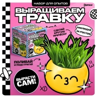 Набор для опытов, для детей &laquo;Выращиваем травку&raquo;, растение в горшочке - эмодзи &laquo;Поцелуйчик&raquo;