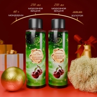 Новогодний подарочный набор косметики &laquo;Снежное царство&raquo;, с ароматом вишни и корицы. Зеленая серия