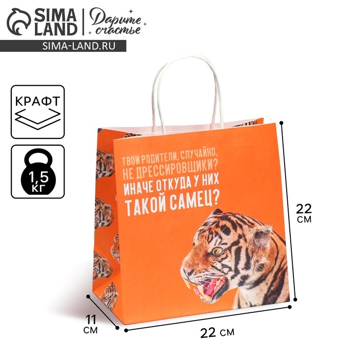 Пакет подарочный, упаковка, &laquo;Самец&raquo;, 22 х 22 х 11 см