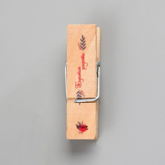 Декор для творчества дерево Декор для творчества дерево "Прищепка - Букетик радости" набор 10 шт