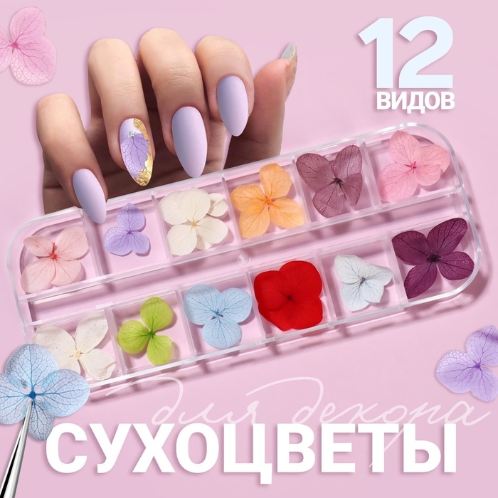 Сухоцветы для декора ногтей «Нежность», объёмные, 12 видов, в футляре, разноцветные Сухоцветы для декора ногтей «Нежность», объёмные, 12 видов, в футляре, разноцветные