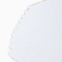 Картон белый А4 немелованный односторонний 10 листов &laquo;1 сентября: Енотик&raquo; 200 гр