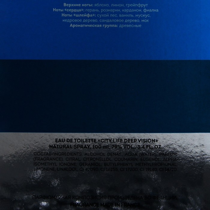 Туалетная вода мужская City Life Deep Vision, 100 мл Туалетная вода мужская City Life Deep Vision, 100 мл