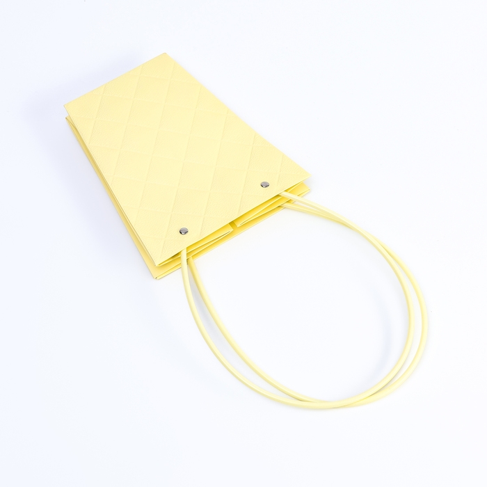 Сумка для цветов тиснение шампань влагостойкая, 17x17-11.5x11.5-20 см Сумка для цветов тиснение шампань влагостойкая, 17x17-11.5x11.5-20 см