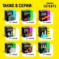 Набор для опытов &laquo;Картофельная батарейка&raquo;