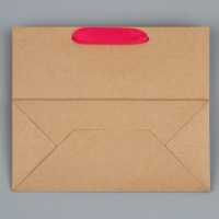 Пакет подарочный крафтовый с пластиковым окном, упаковка, &laquo;Фламинго&raquo;, 24 х 20 х 11см