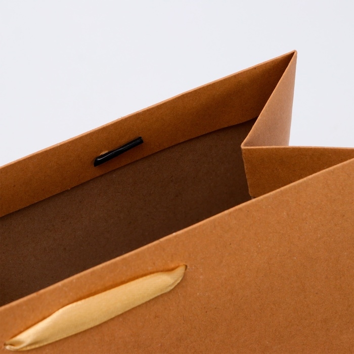 Пакет ламинированный &laquo;Крафт&raquo;, MS 23 &times; 18 &times; 10 см