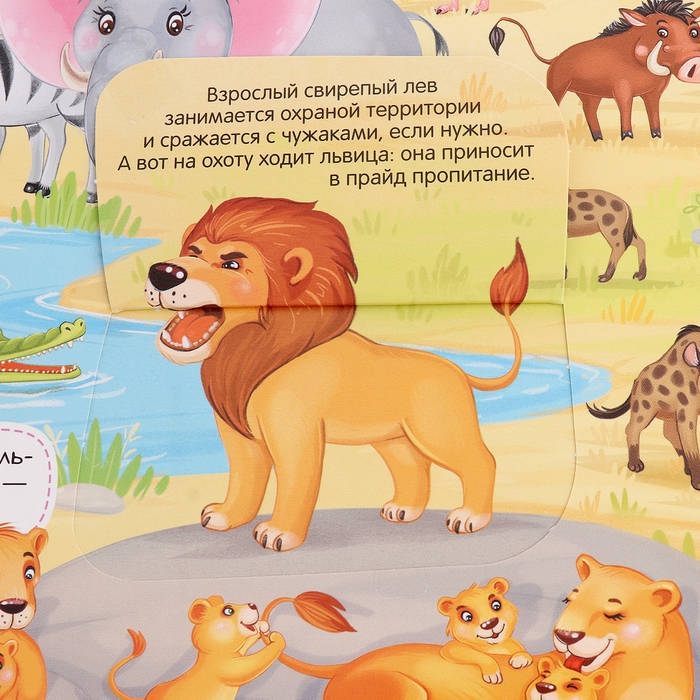 Книжка с окошками &laquo;Виммельбух. Животные&raquo;