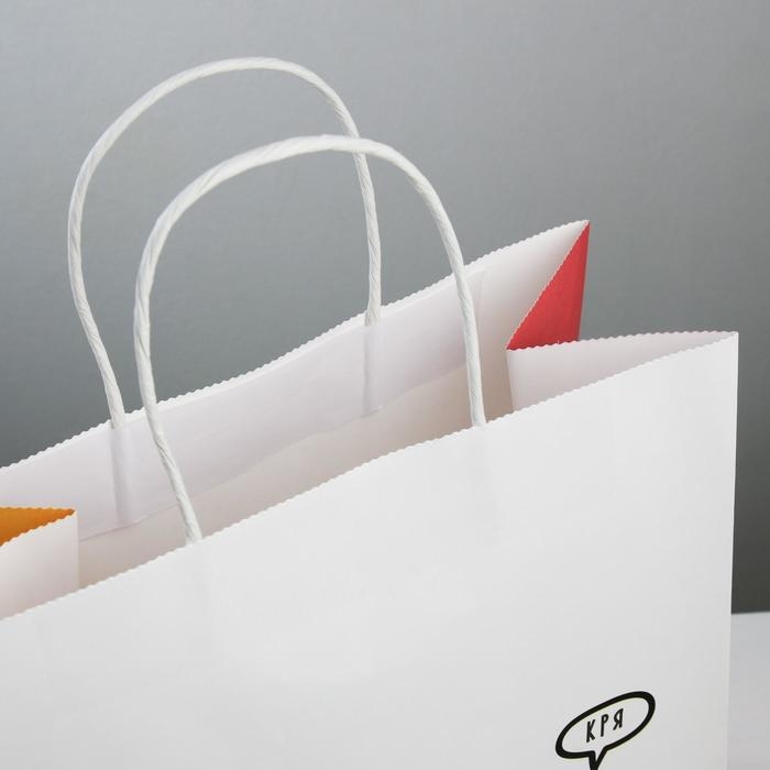 Пакет подарочный крафтовый, упаковка, &laquo;Котик&raquo;, 28 х 32 х 15 см