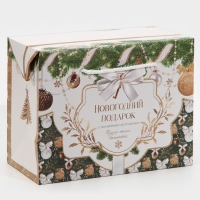 Пакет-коробка &laquo;Подарок для тебя&raquo;, 23 х 18 х 11 см, Новый год
