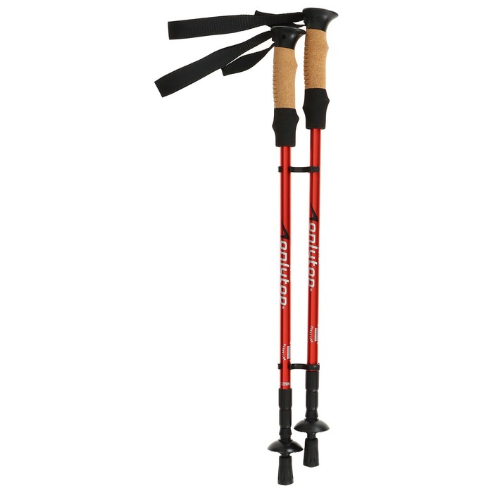 Палки для скандинавской ходьбы ONLITOP, телескопические, 3 секции, до 135 см, 2 шт., цвет МИКС Палки для скандинавской ходьбы ONLITOP, телескопические, 3 секции, до 135 см, 2 шт., цвет МИКС