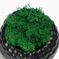 Кашпо бетонное "Будда" со мхом 7*6 см черный (мох зеленый стабилизированный) Кашпо бетонное "Будда" со мхом 7*6 см черный (мох зеленый стабилизированный)