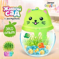 Набор для опытов «Живой сад: Кошечка», цвета МИКС Набор для опытов «Живой сад: Кошечка», цвета МИКС