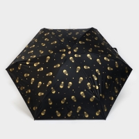 Зонт женский механический, 6 спиц, цвет чёрный.