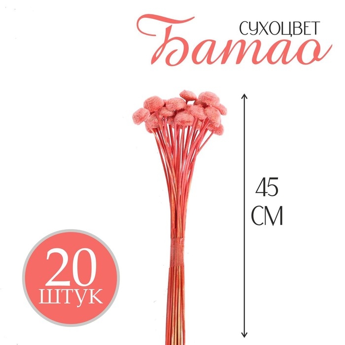 Сухоцвет «Батао» набор 20 шт., цвет красный Сухоцвет «Батао» набор 20 шт., цвет красный