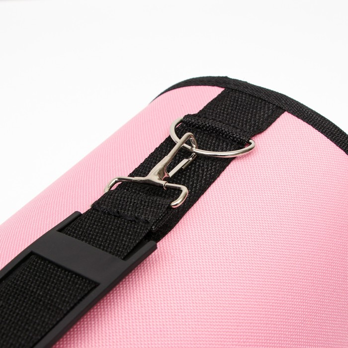 Сумка - переноска для животных Сумка - переноска для животных "Воздушный поцелуй", розовая, размер M,45 х 21 х 27см