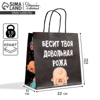 Пакет подарочный, упаковка, &laquo;Бесит&raquo;, 22 х 22 х 11 см