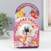 Растущий подарок травка Вырастайка "Кошка Мурка" МИКС Растущий подарок травка Вырастайка "Кошка Мурка" МИКС