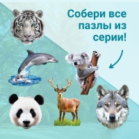 Фигурный пазл «Милая коала», 100 деталей Фигурный пазл «Милая коала», 100 деталей