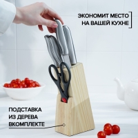 Набор ножей кухонных на подставке &laquo;Блеск стали&raquo;, 6 предметов: 5 ножей лезвие 9,5 см, 13 см, 13,5 см, 20,5 см, 20,5 см, ножницы