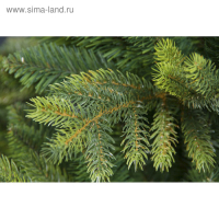 Ель искусственная Венская 180 см, d нижнего яруса 110 см Ель искусственная Венская 180 см, d нижнего яруса 110 см