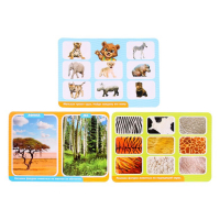 Развивающий набор-сортёр &laquo;Изучаем животных&raquo;, по методике Монтессори, 3+
