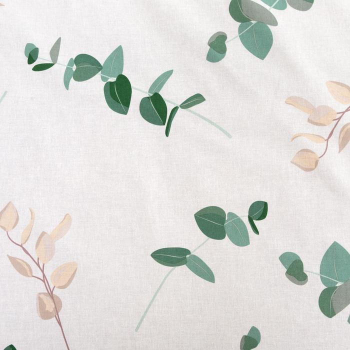 Постельное белье Этель евро &laquo;Эвкалипт&raquo; (вид 1) 200*217 см,240*220 см,70*70 см -2 шт