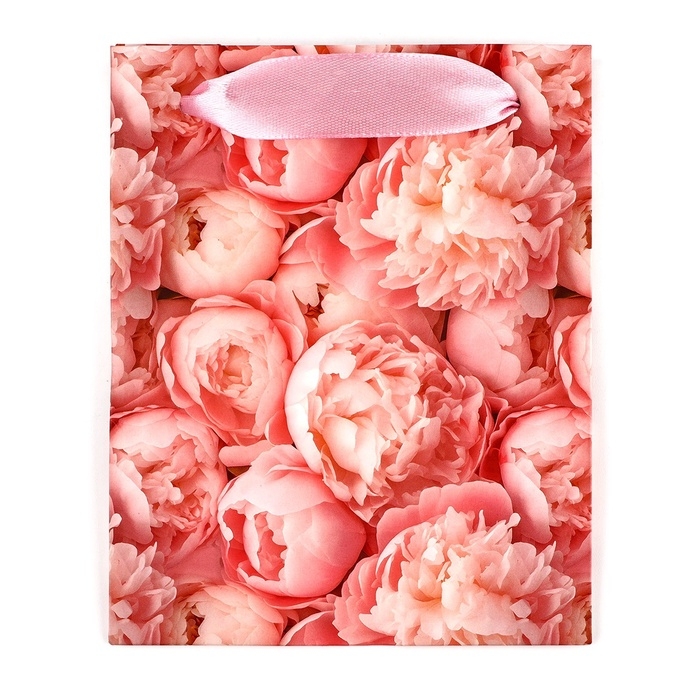 Пакет ламинированный двухсторонний &laquo;Пионы&raquo;, с тишью и открыткой, S, 12 х 15 х 5.5