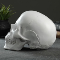 Копилка "Череп" белый, 16х13х22см Копилка "Череп" белый, 16х13х22см