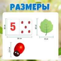 Развивающий набор &laquo;Считаем букашек&raquo;