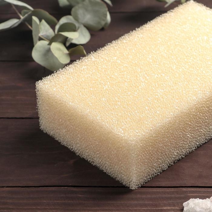 Губка для тела «Секрет красоты», 20×12×5 см, антицеллюлитная Губка для тела «Секрет красоты», 20×12×5 см, антицеллюлитная