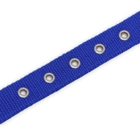 Ошейник двухслойный с вертлюгом, 55 х 2,5 см, полиэстер, синий Ошейник двухслойный с вертлюгом, 55 х 2,5 см, полиэстер, синий