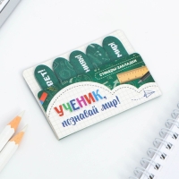 Набор стикеров-закладок «Ученик, Познавай мир!», 5 шт, 20 л Набор стикеров-закладок «Ученик, Познавай мир!», 5 шт, 20 л
