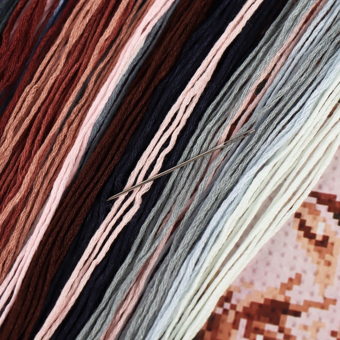 Вышивка крестиком &laquo;Поцелуй&raquo;, набор для творчества, 30 х 20 см