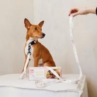 Набор «Мрамор», застёжка - фастекс, поводок 2 м и ошейник 28-46 см Набор «Мрамор», застёжка - фастекс, поводок 2 м и ошейник 28-46 см