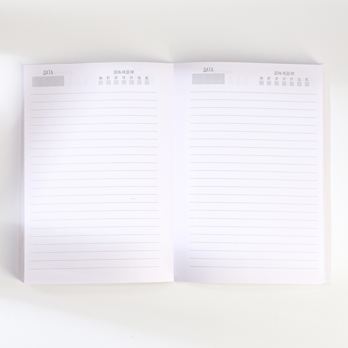 Подарочный набор ежедневник А5, 80 листов, наклейки и ручка «Крутой мужик» Подарочный набор ежедневник А5, 80 листов, наклейки и ручка «Крутой мужик»